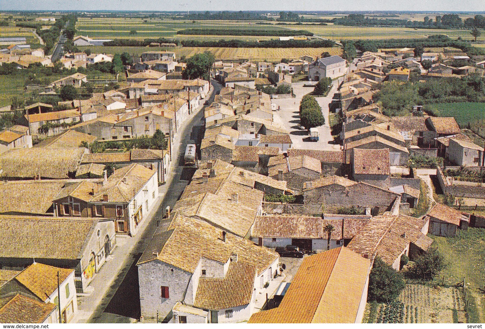 NUAILLE D'AUNIS. - Vue Générale. CPSM RARE - Autres & Non Classés