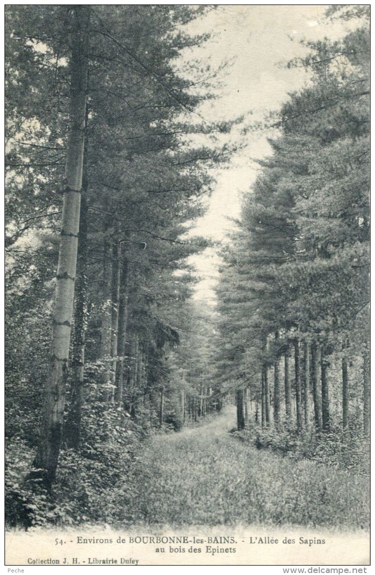 N°54019 -cpa Environs De Bourbonne Les Bains -l'allée Des Sapins Bois Des Epinets - Bourbonne Les Bains