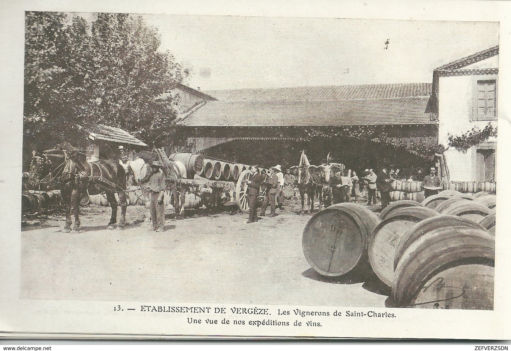 30 GARD JONQUIERES ST SAINT VINCENT MONTFRIN VERGEZE CHATEAUNEUF DU PAPE COMPS AGRICULTURE METIER  VENDANGES VIGNE - Vergèze