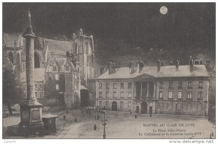 Astronomie - Lune Nuit - Nantes - Place Saint Pierre - Astronomie