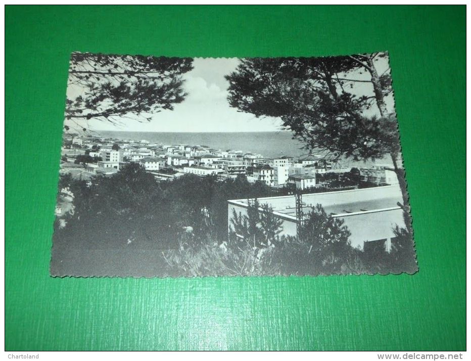 Cartolina Francavilla Al Mare - Panorama 1964 - Chieti