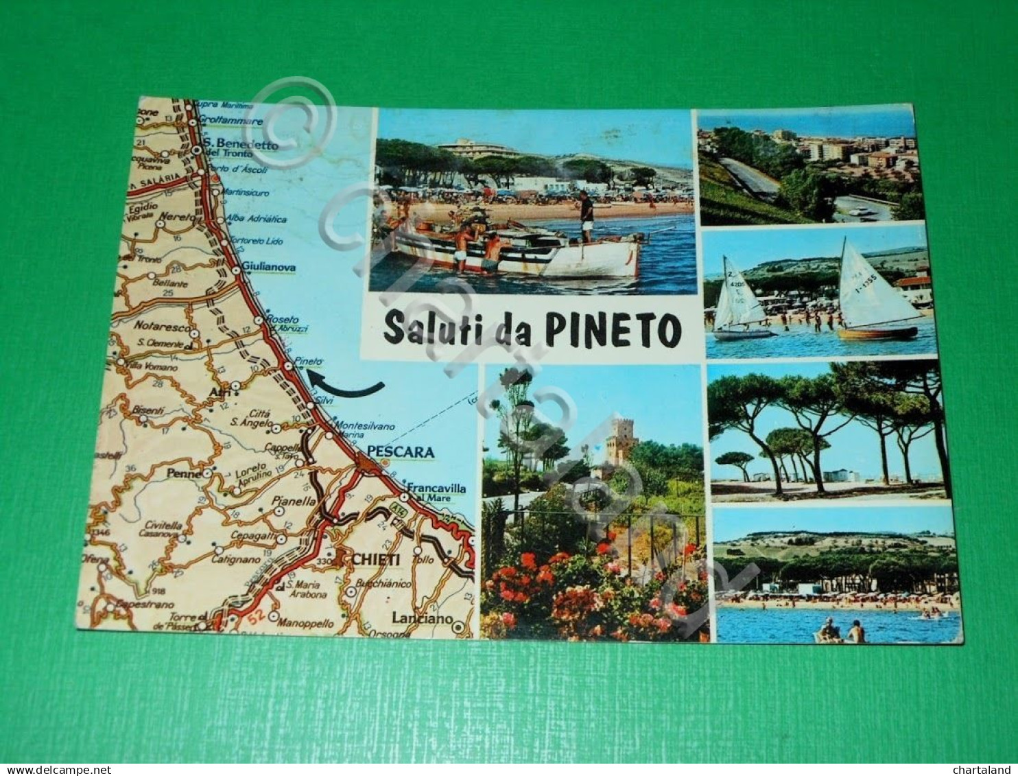 Cartolina Saluti Da Pineto  - Vedute Diverse 1970 Ca - Teramo