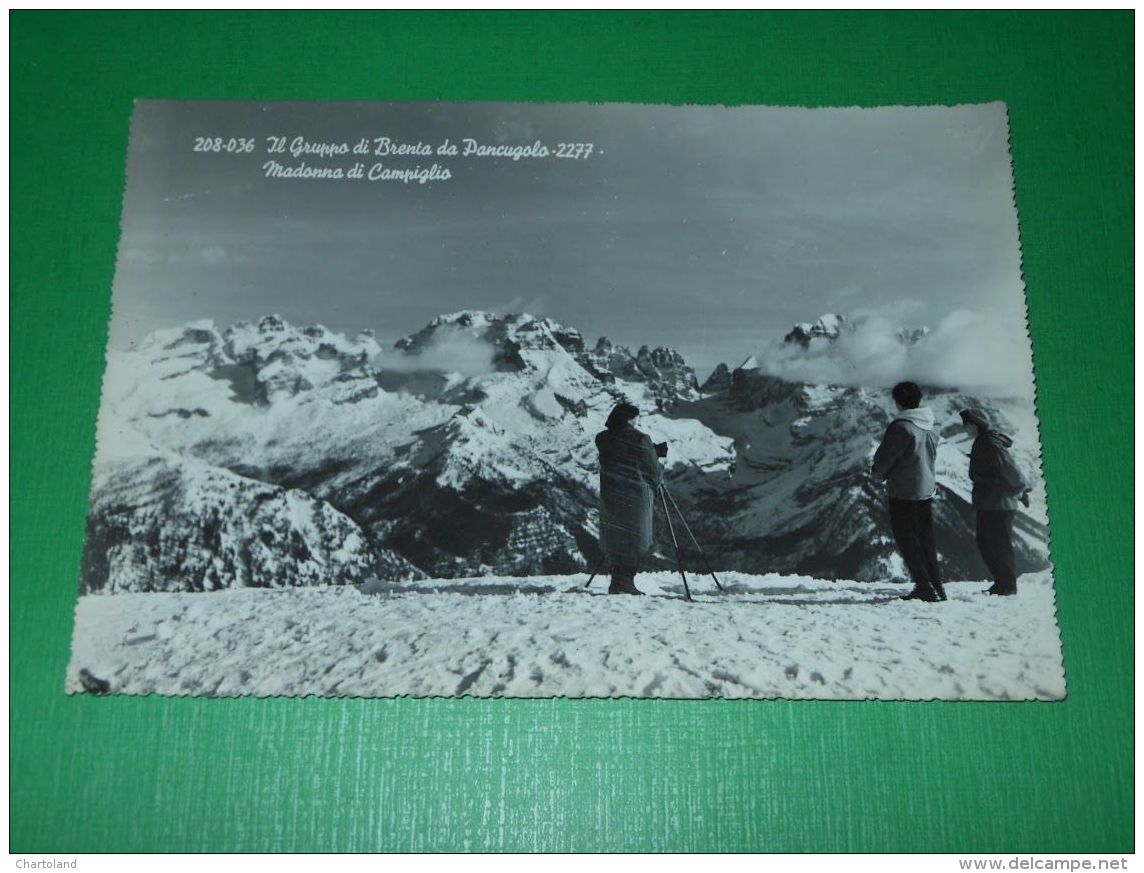 Cartolina Il Gruppo Di Brenta Da Pancugolo - Madonna Di Campiglio 1967 - Trento