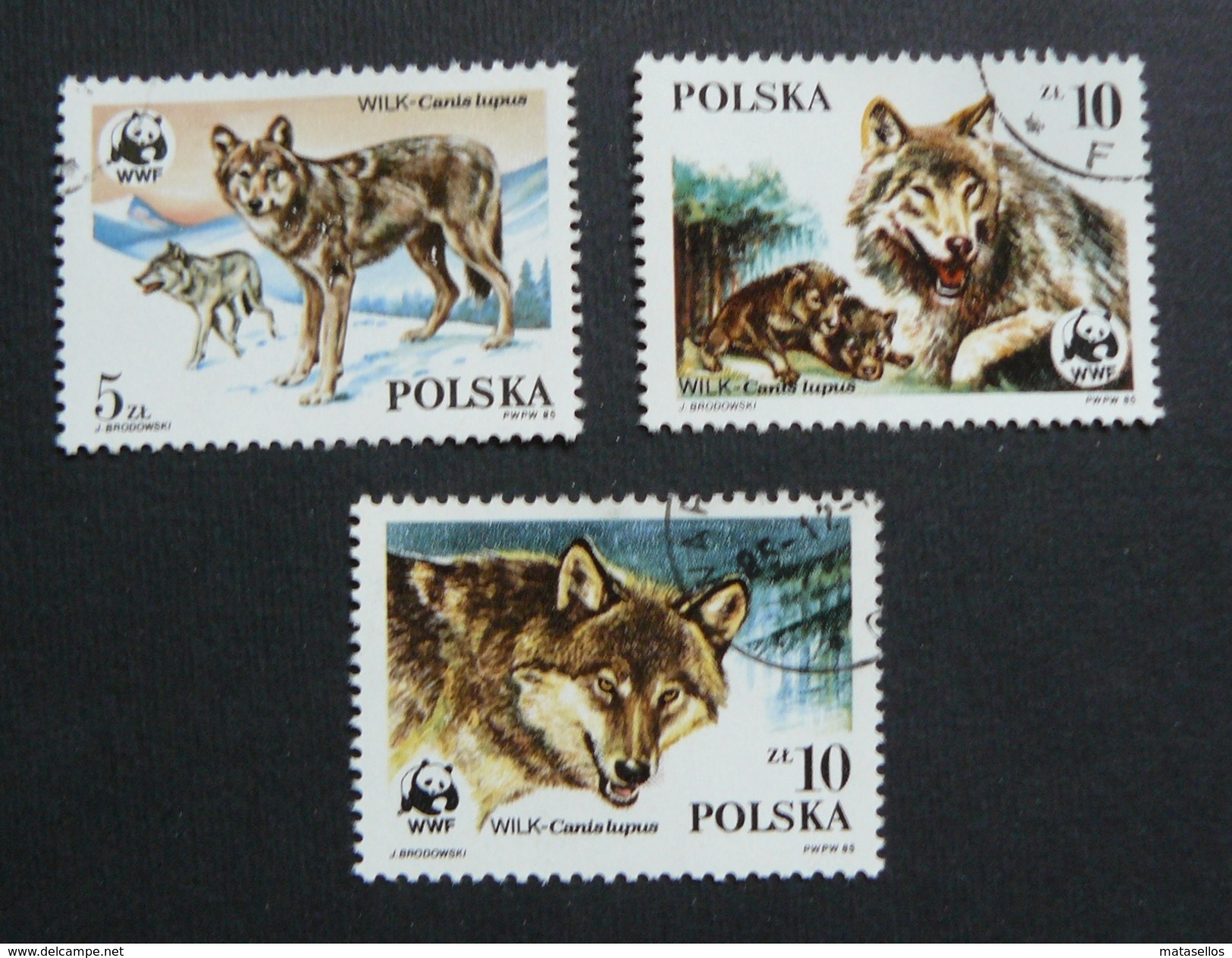 Fox Stamps - Estampillas De Lobos - Polonia - Colecciones & Series