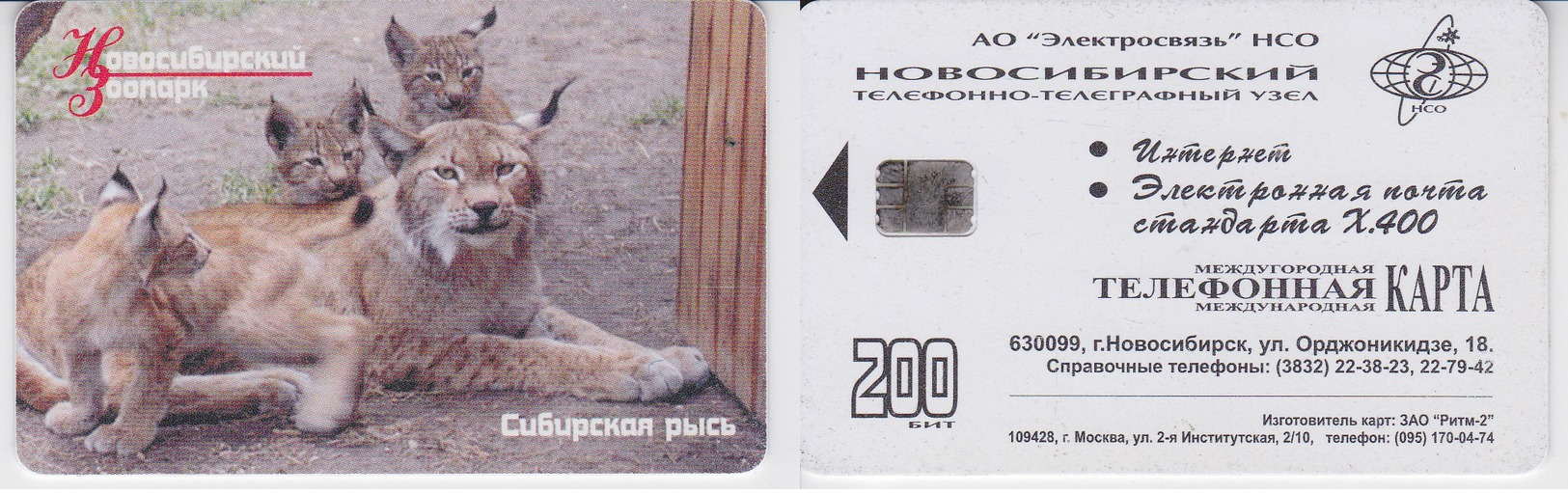 Phonecard   Russia. Novosibirsk 200 Bit - Russie