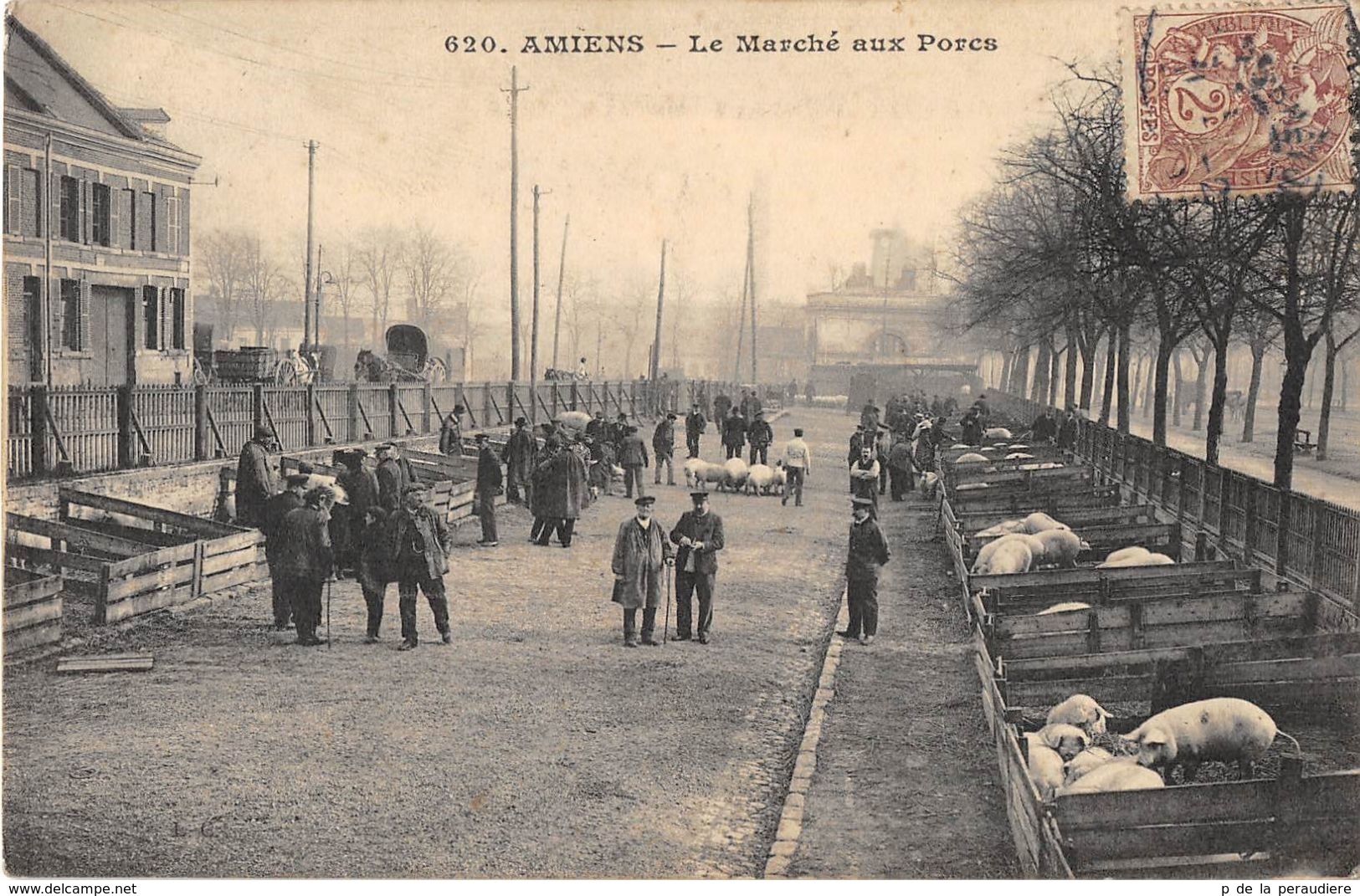 CPA 80 AMIENS LE MARCHE AUX PORCS (cpas Pas Courante - Amiens