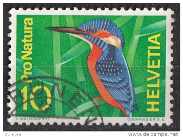 473 Svizzera 1966 Kingfisher Martin Pescatore Alcione  Helvetia Switzerland Used - Moineaux