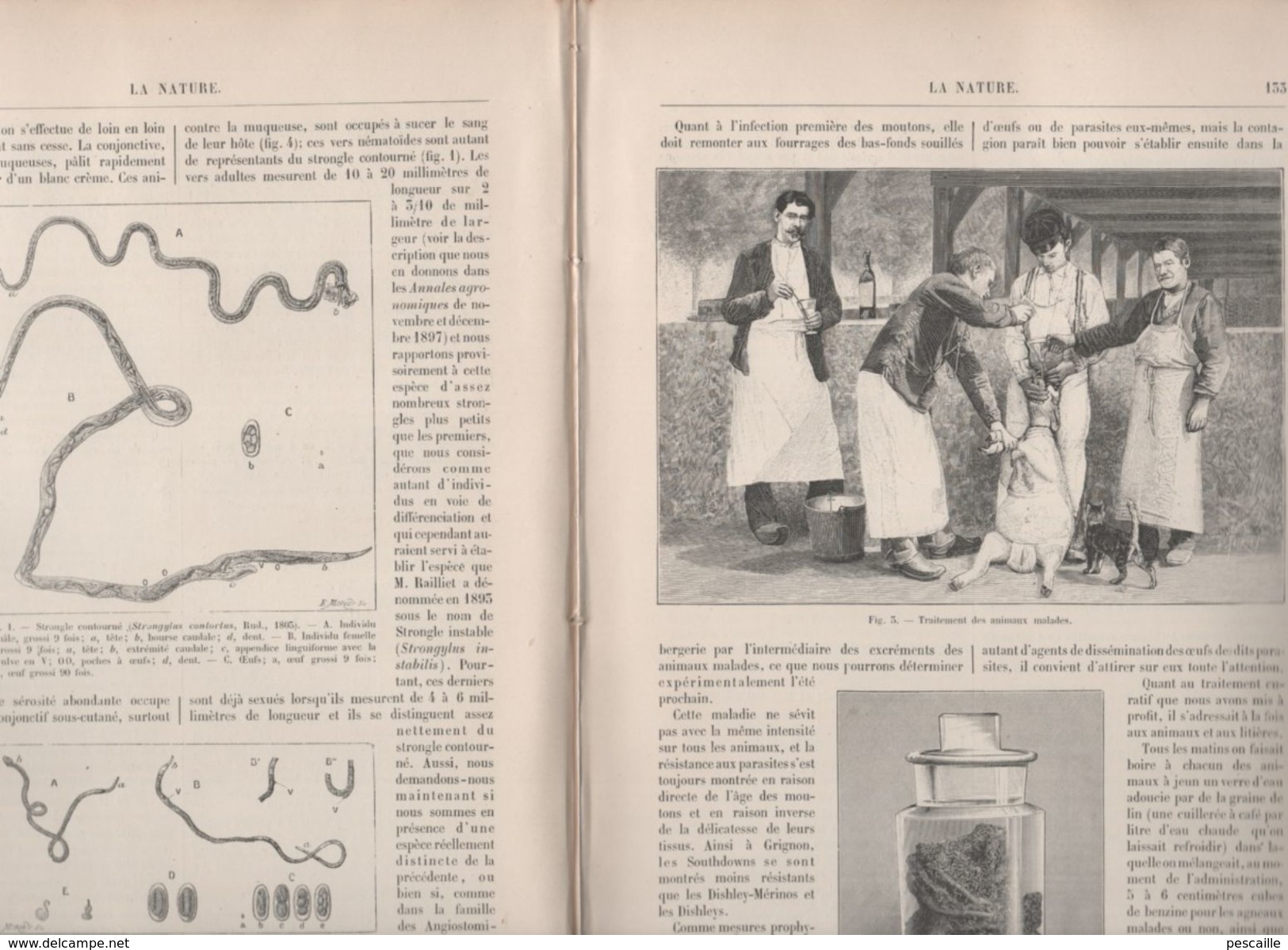 LA NATURE 29 01 1898 - OPERA CASCADE BOIS DE BOULOGNE - VETERINAIRE - RECOLTE FEUILLARDS LOZERE - TOUR EIFFEL ORAGE - 1850 - 1899