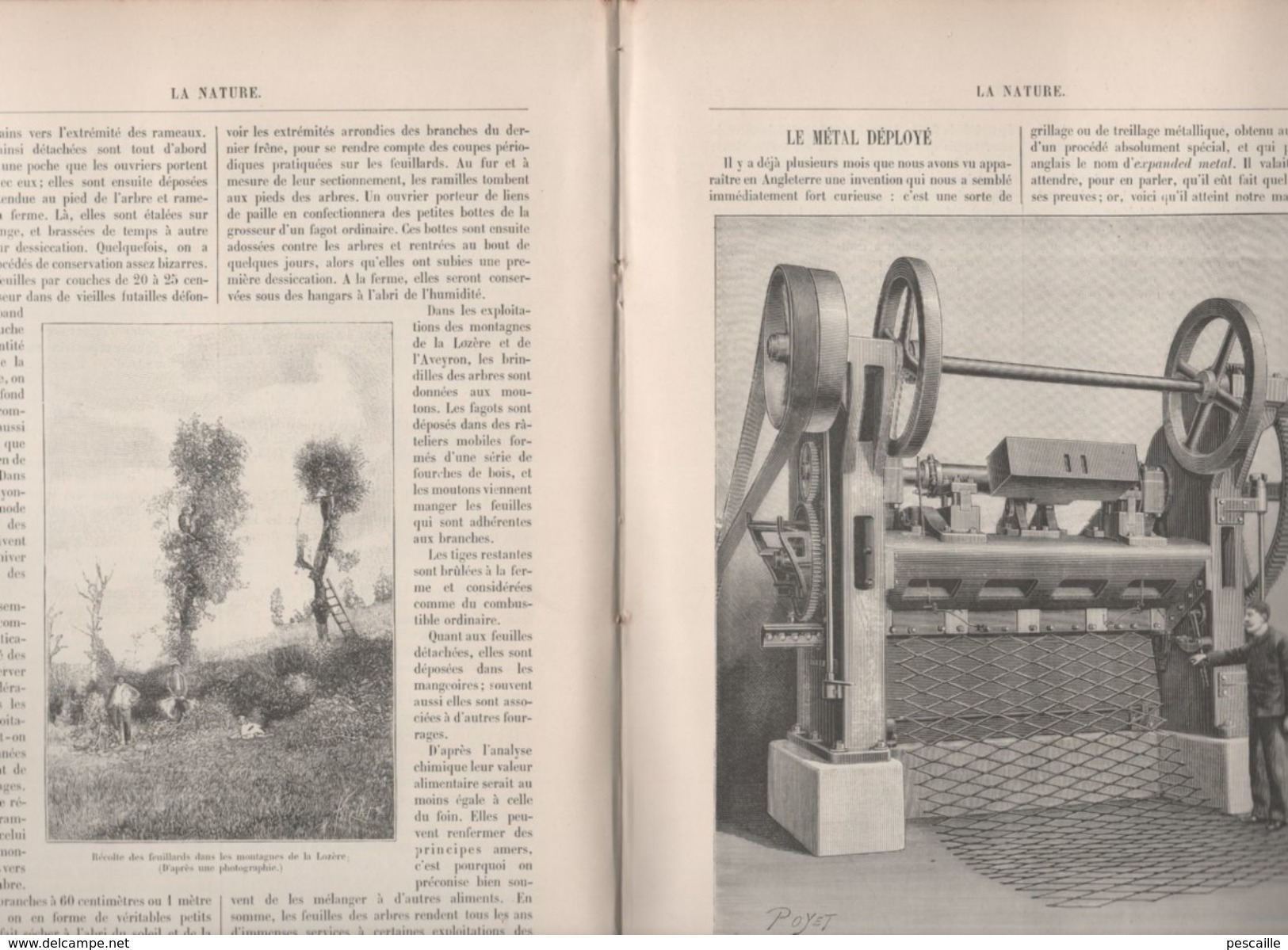 LA NATURE 29 01 1898 - OPERA CASCADE BOIS DE BOULOGNE - VETERINAIRE - RECOLTE FEUILLARDS LOZERE - TOUR EIFFEL ORAGE - 1850 - 1899