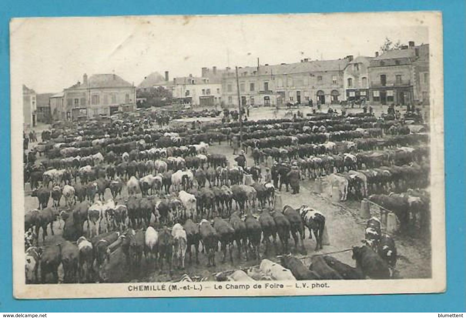 CPSM Marché Aux Bestiaux - Le Champ De Foire CHEMILLE 49 - Chemille