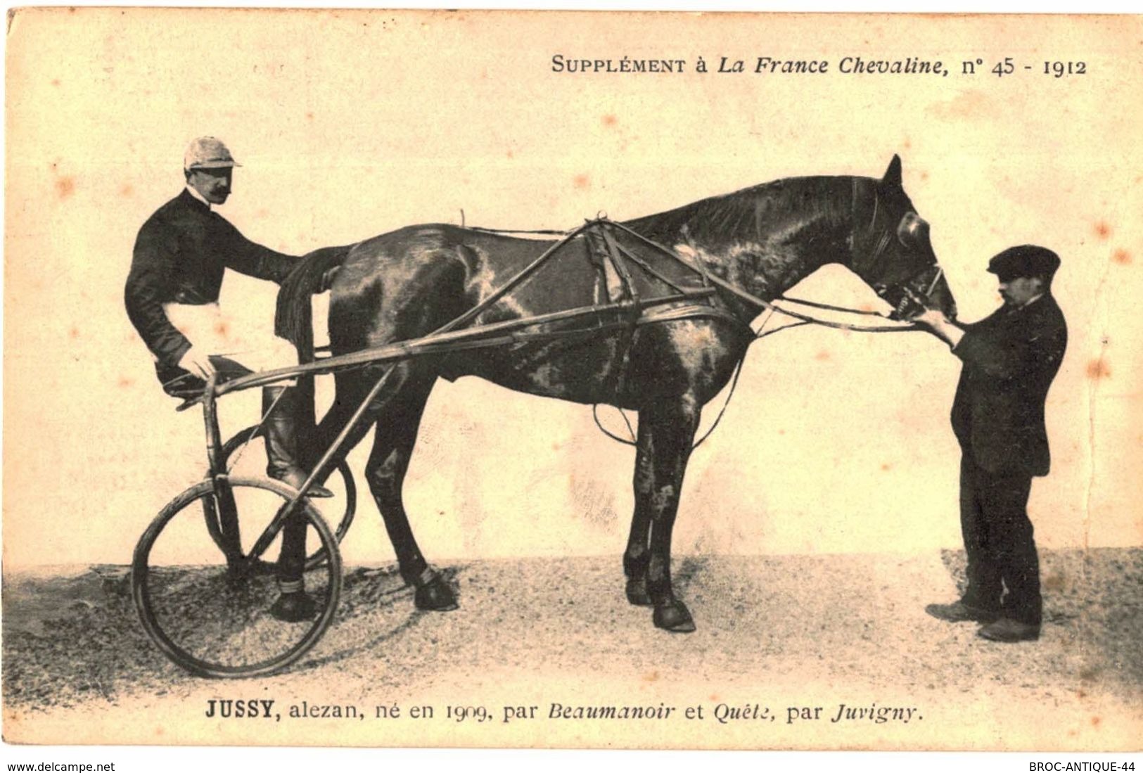 CPA N°907 - FRANCE CHEVALINE N°45 - 1912  - JUSSY, ALEZAN NE EN 1909, PAR BEAUMANOIR ET QUETE PAR JUVIGNY - Hippisme