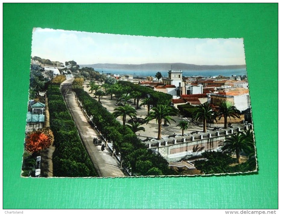 Cartolina Cagliari - Terrapieno 1959 Ca - Cagliari