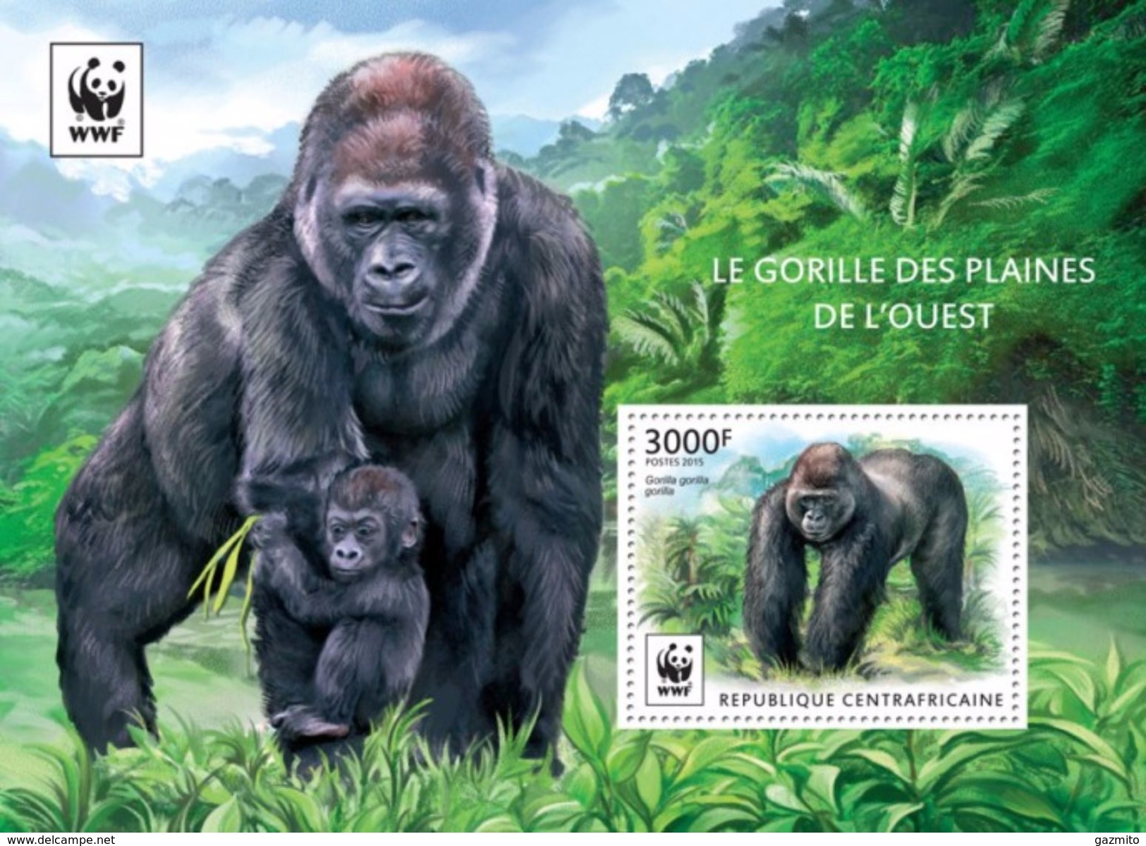 Centrafrica 2015, WWF, Gorillas, BF - Gorilas