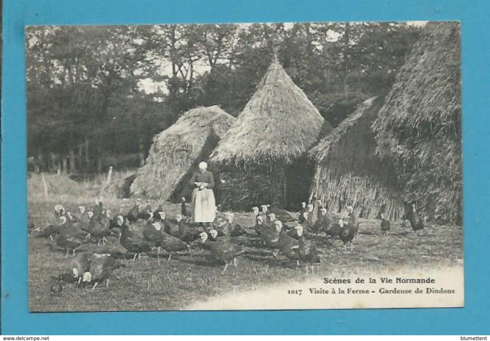 CPA 1017 - Scènes De La Vie Normande - Visite à La Ferme - Gardeuse De Dindons (14) - Altri & Non Classificati