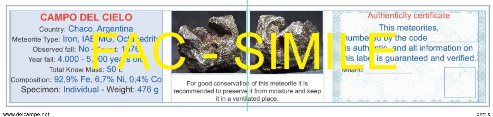 Meteorite Campo Del Cielo, Argentina 427 G. With Authenticity Certificate - Lot. M019 - Meteorieten