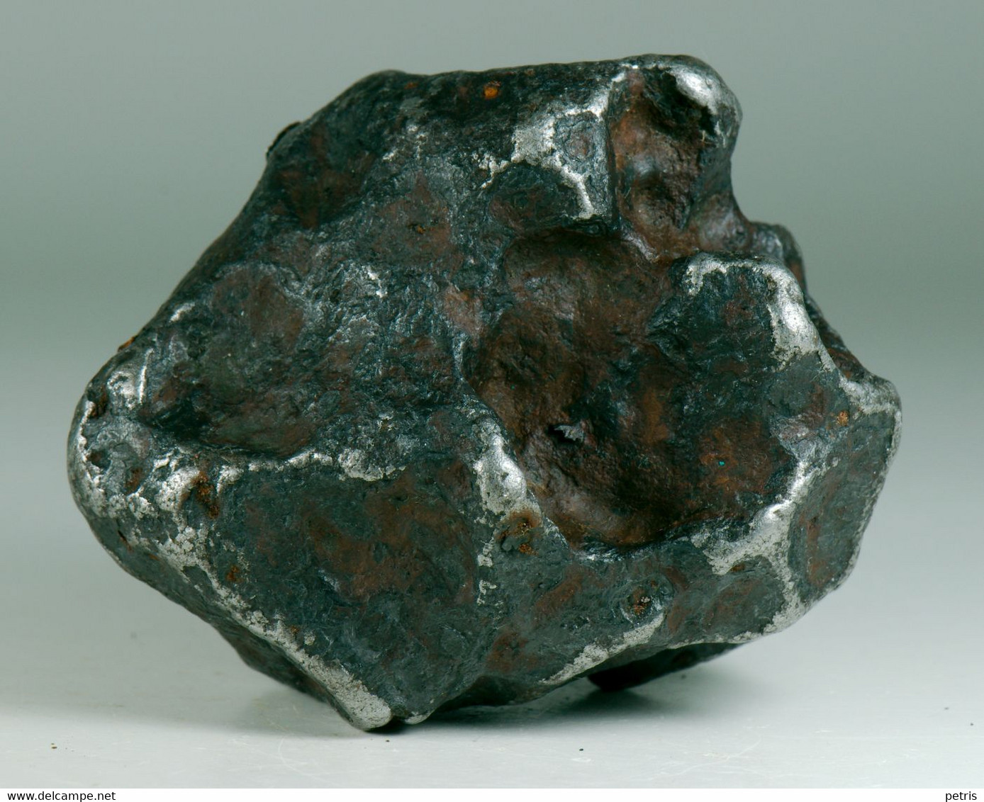 Meteorite Campo Del Cielo, Argentina 427 G. With Authenticity Certificate - Lot. M019 - Meteorites