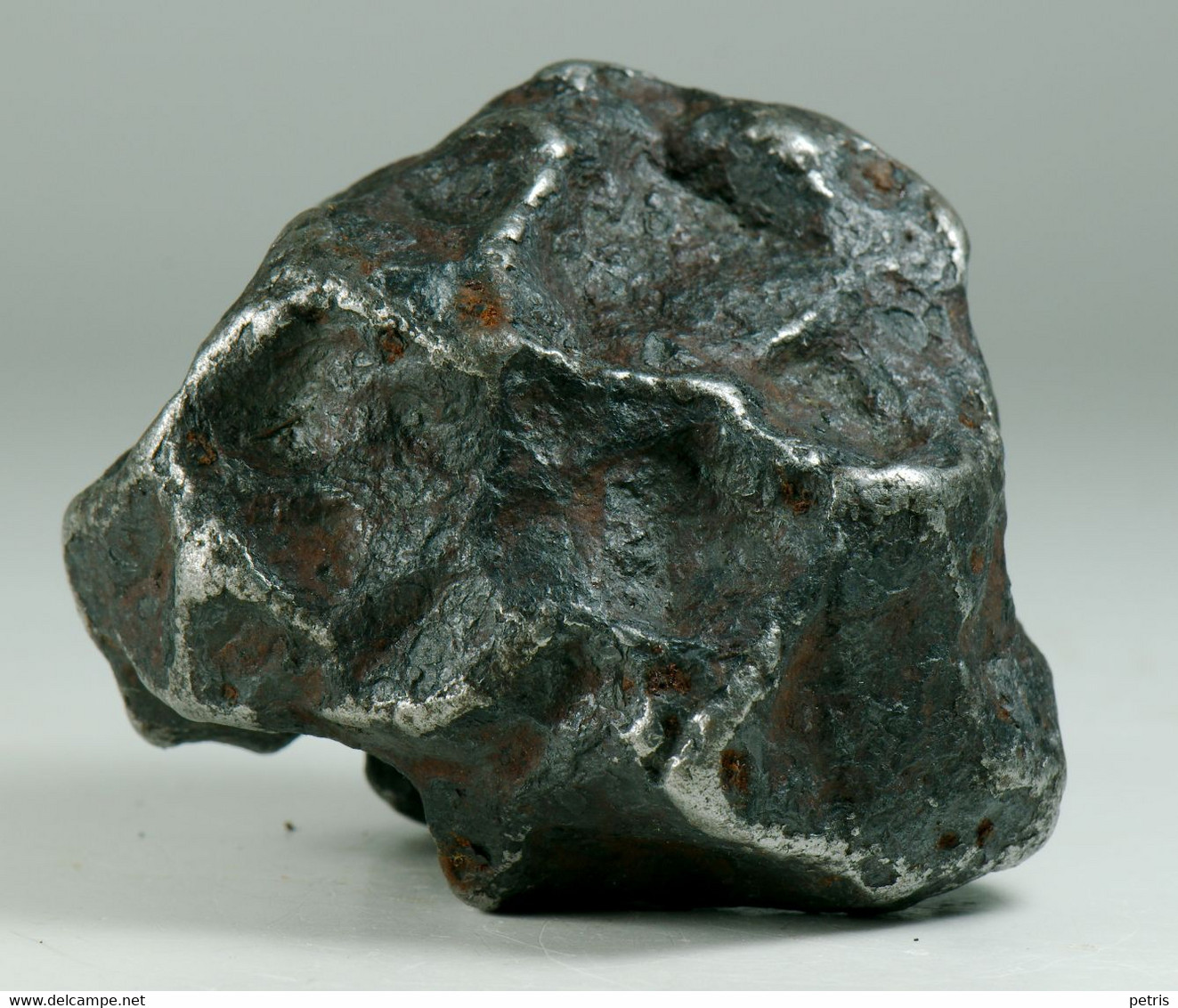 Meteorite Campo del Cielo, Argentina 427 g. With Authenticity Certificate - Lot. M019