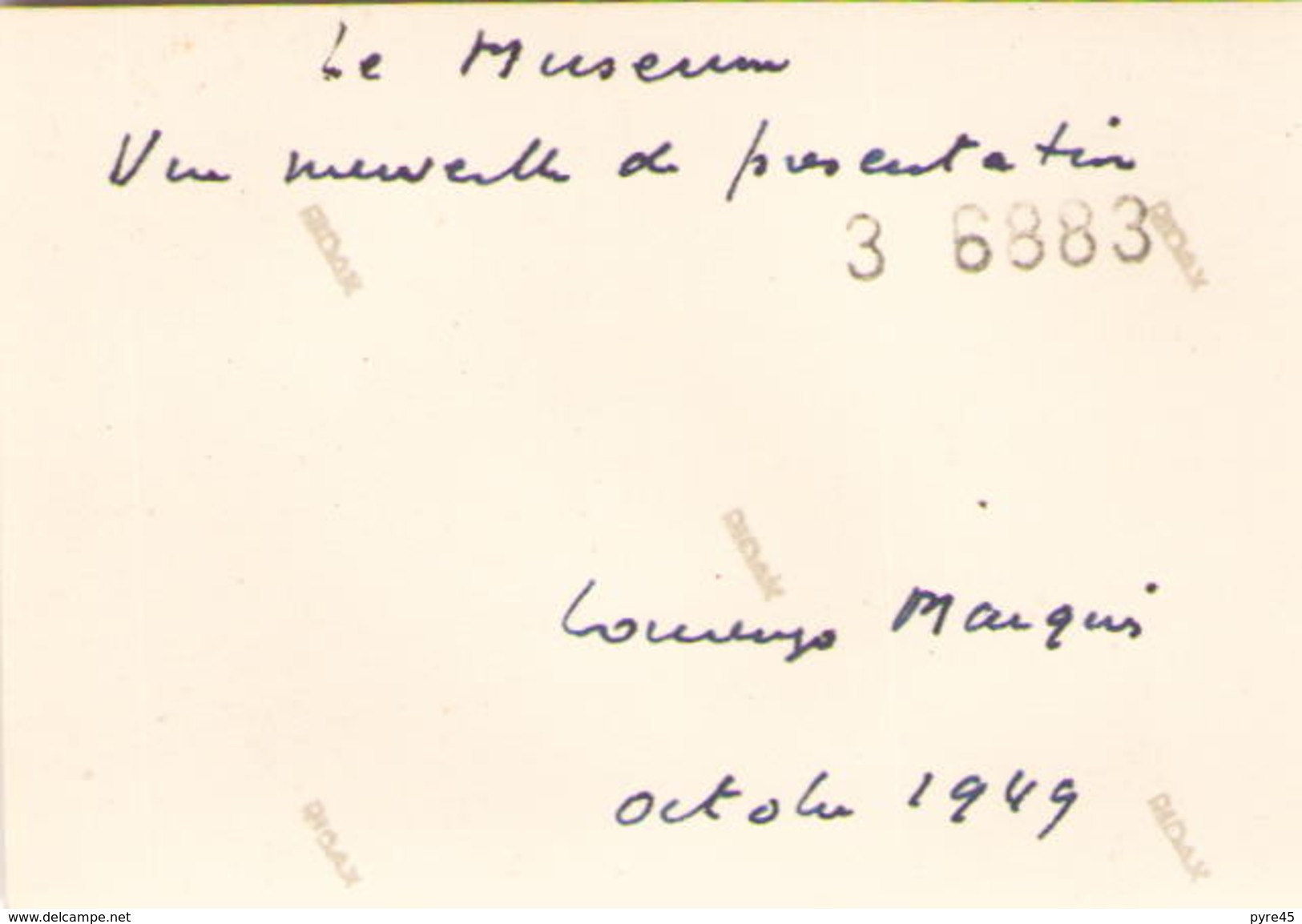 PHOTO AFRIQUE MOZAMBIQUE LE MUSEUM VUE NOUVELLE DE PRESENTATION LORENZO MARQUES OCTOBRE 1949 8 X 5 CM - Africa