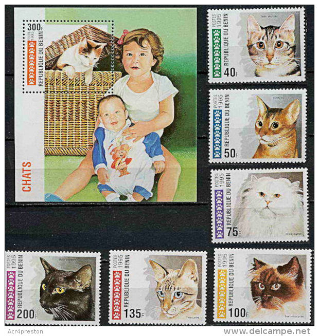 B0391 BENIN 1995, SG 1298-MS1304 Cats, MNH - Benin - Dahomey (1960-...)