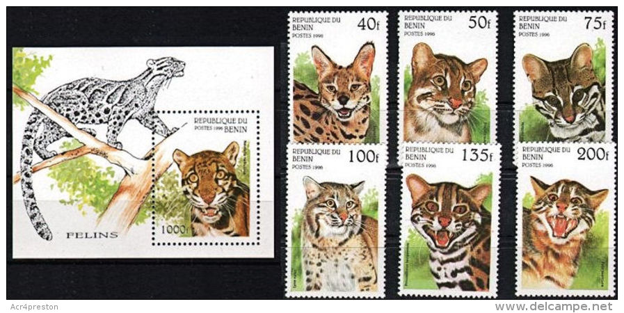 C0385 BENIN 1996, SG 1389-MS1395 Big Cats,  MNH - Benin - Dahomey (1960-...)