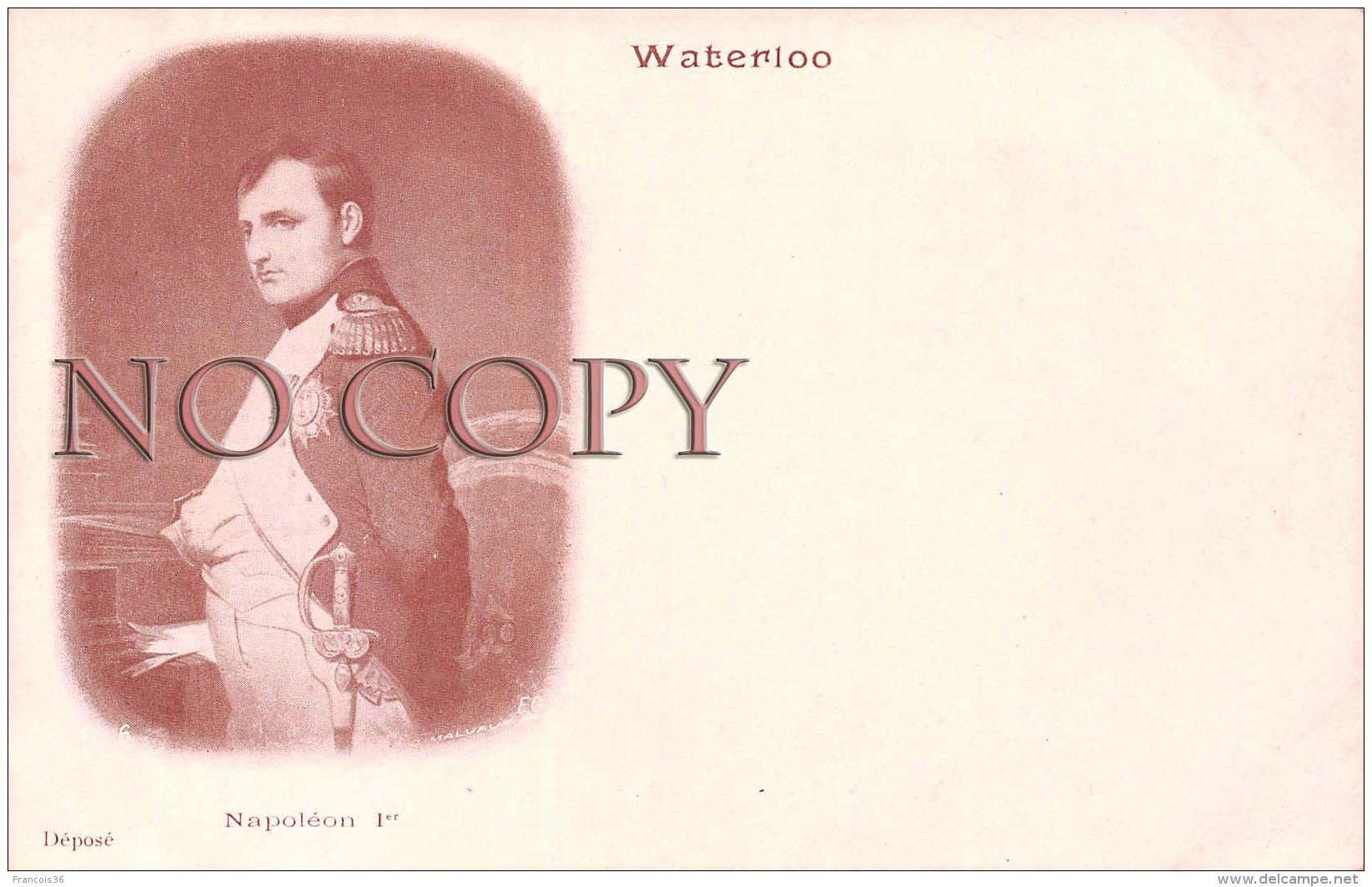 Waterloo - Napoléon Ier - Portrait TTBE - Hommes Politiques & Militaires