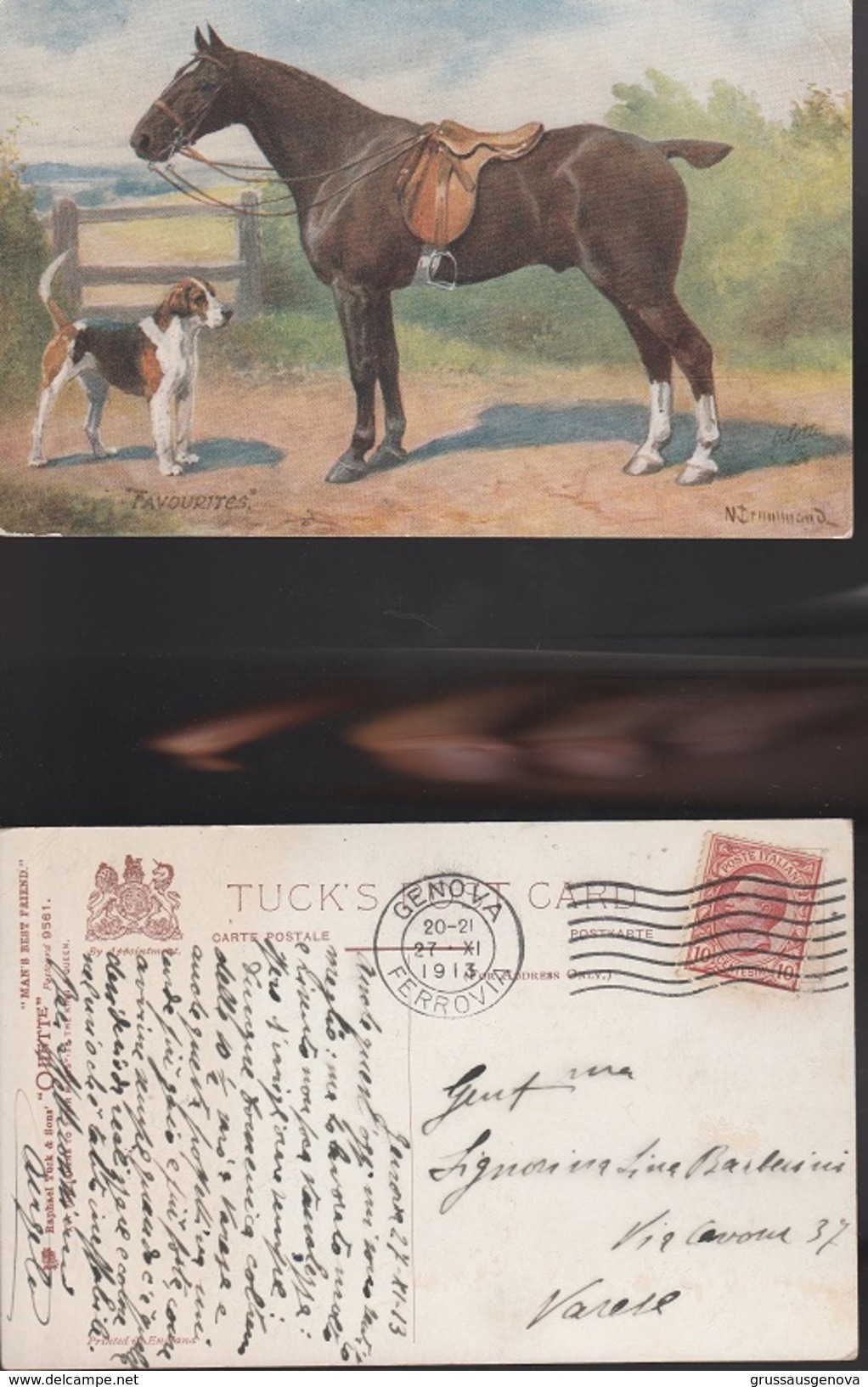 12650)  TUCK'S OILETTE 9561 MAN'S BEST FRIEND HORSE CAVALLO FAVOURITES VIAGGIATA 1913 - Tuck, Raphael