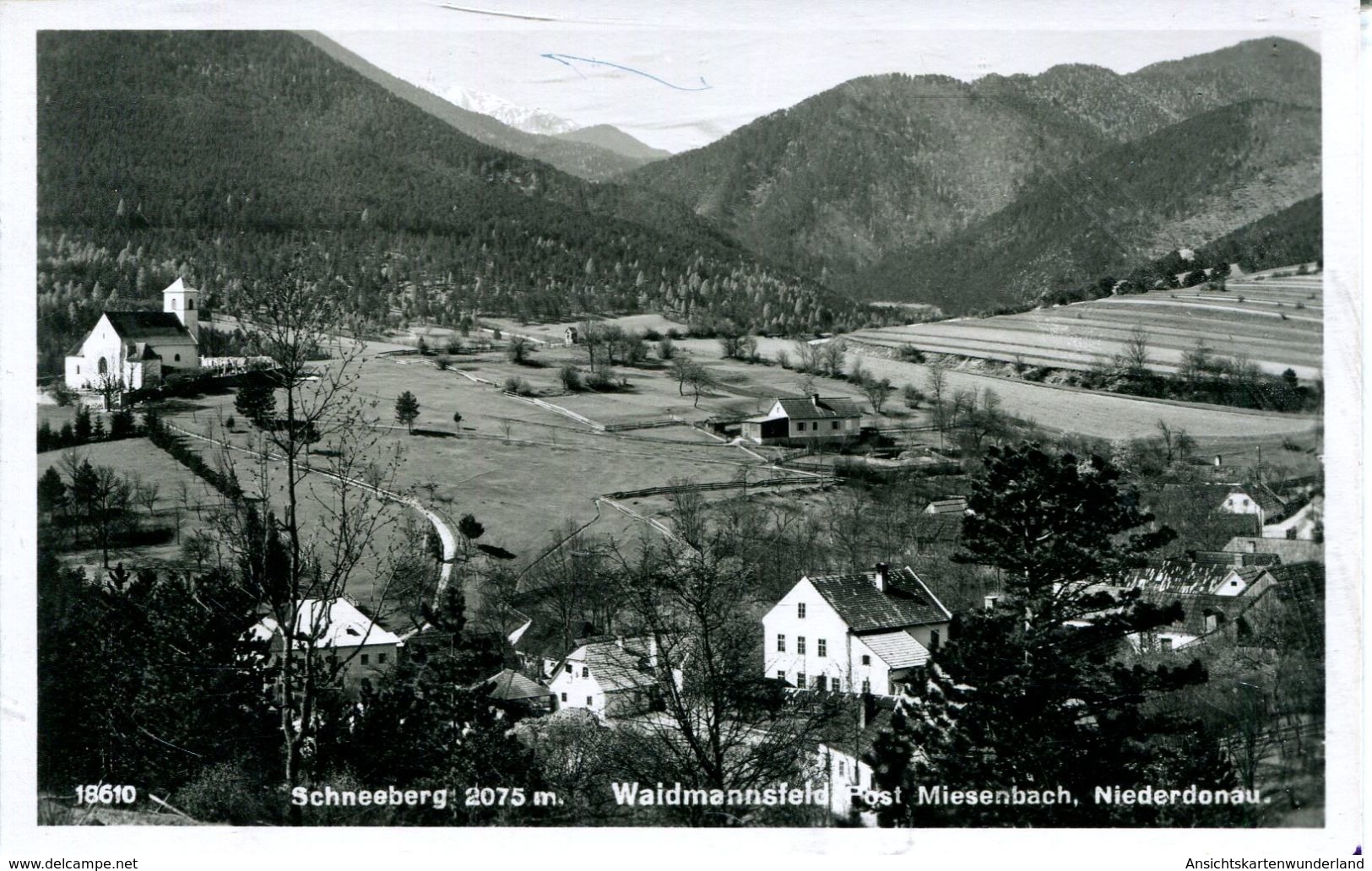 Waidmannsfeld Gesamtansicht 1942  (000701) - Schneeberggebiet