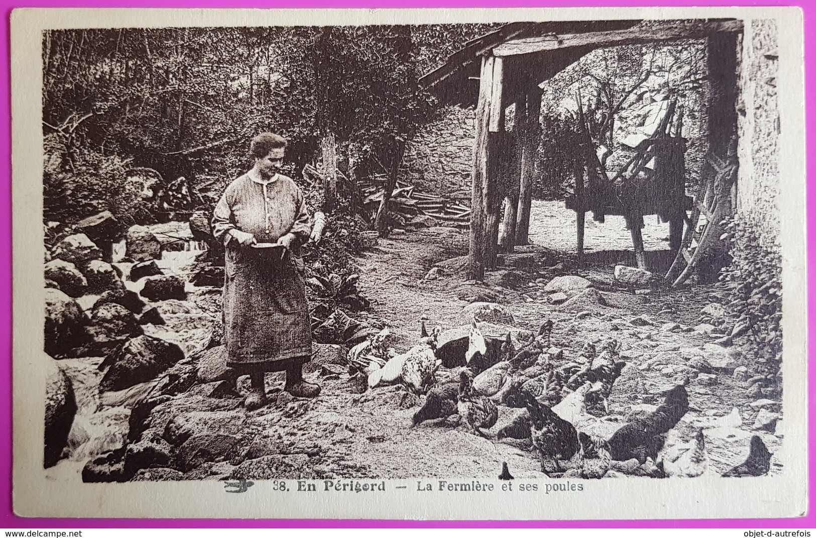 Cpa Perigord La Fermière Et Ses Poules Carte Postale 24 Dordogne Rare - Autres & Non Classés