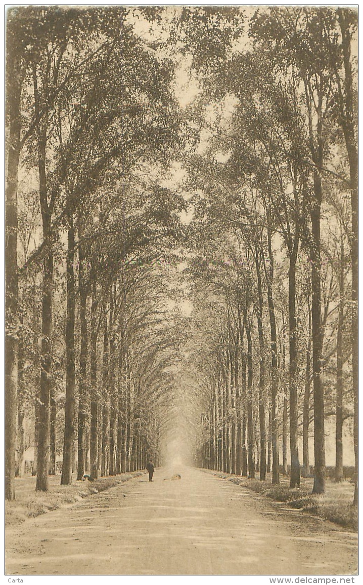 Domaine De MARIEMONT - Avenue Du Château - Morlanwelz