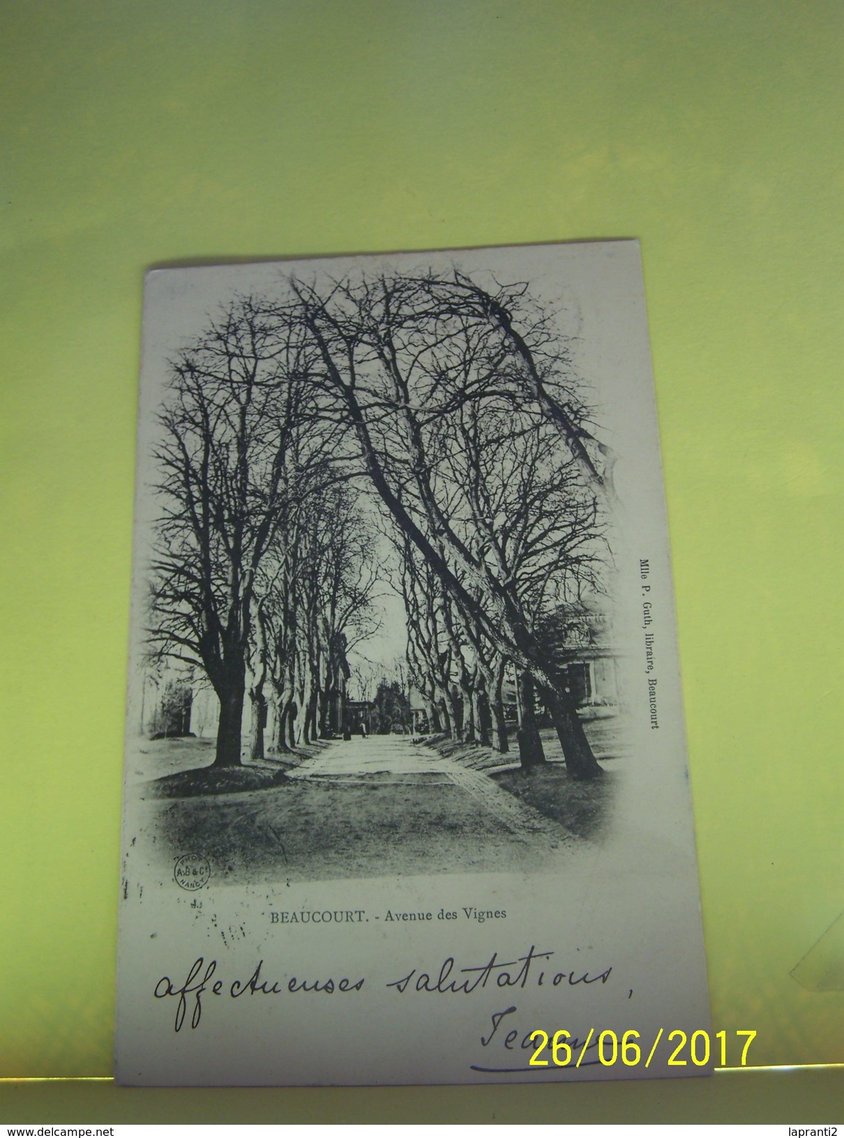 BEAUCOURT (TERRITOIRE DE BELFORT) LES ARBRES. AVENUE DES VIGNES. - Beaucourt