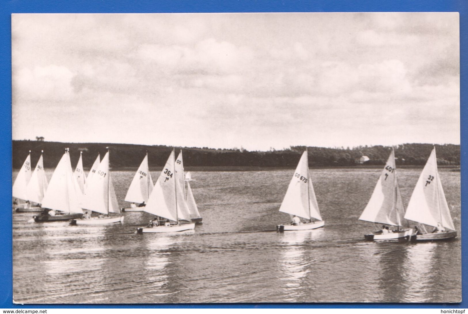 Deutschland; Güstrow; Segelregatta Auf Dem Inselsee - Guestrow