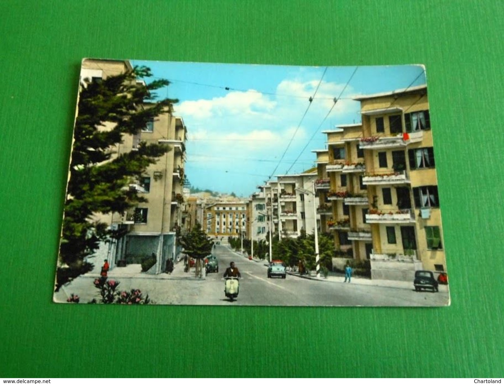 Cartolina Cagliari - Via Pessina 1962 - Cagliari