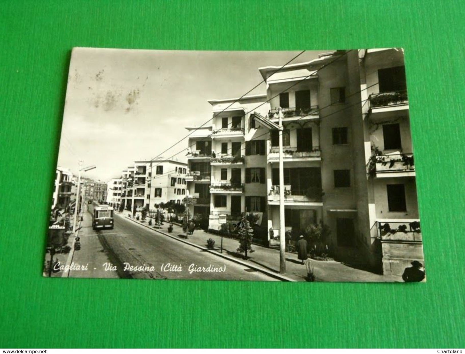 Cartolina Cagliari - Via Pessina ( Città Giardino ) 1958 - Cagliari