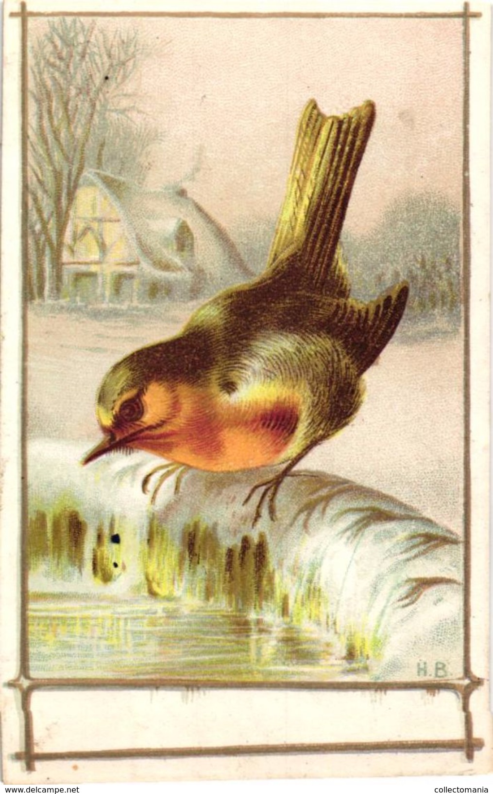 12 litho chromos, proof prints NO PUB c1885 -12cmX7,5cm fazant, patrijs, eenden canards, roodborstje, ijsvogel, papegaai