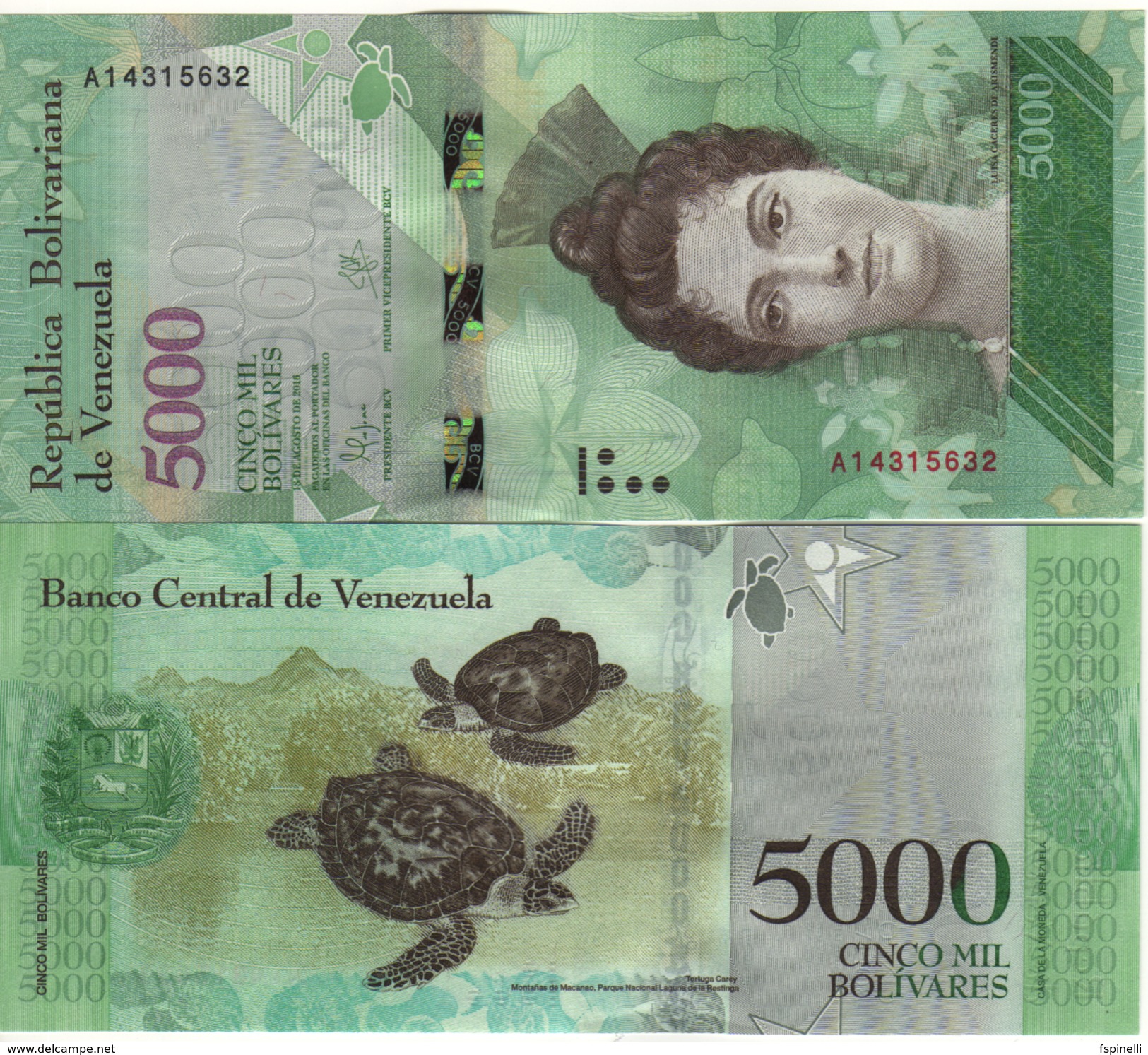 VENEZUELA. Attractive New  5'000 Bolivares   ( Turtles ) Pnew.   2016  UNC. - Venezuela