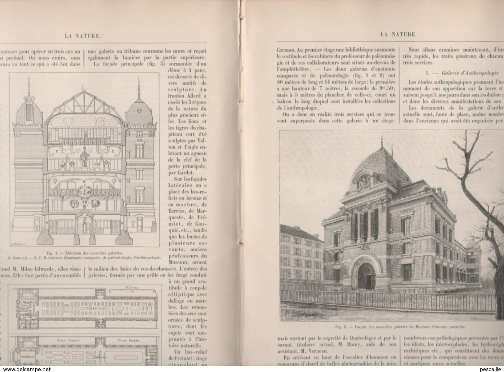 LA NATURE 1898 - BICYCLETTE - JAPON MEGALITHES - MUSEUM D'HISTOIRE NATURELLE - EXHIBITIONS FORAINES - AMPOULE ELECTRIQUE - 1850 - 1899