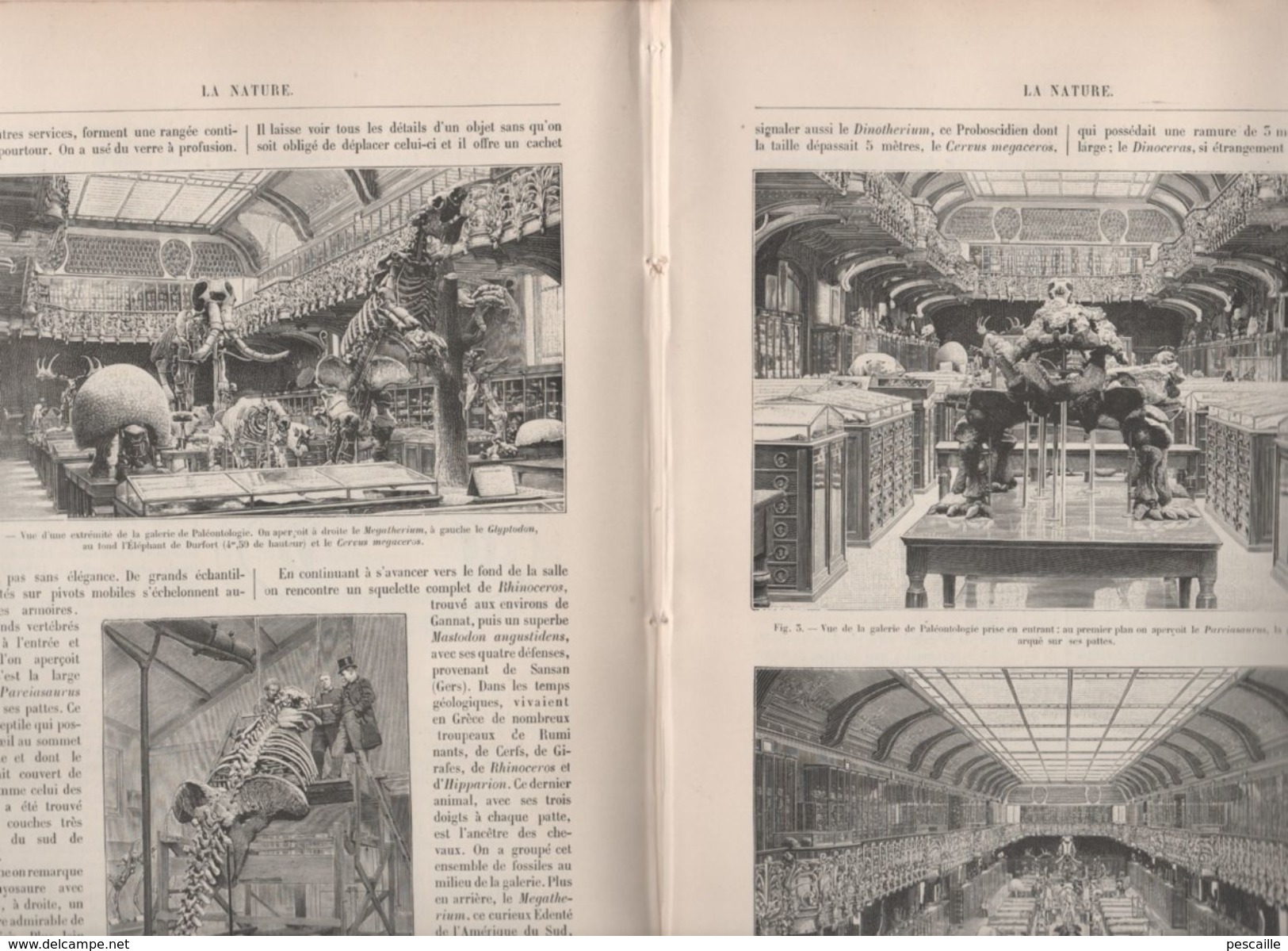 LA NATURE 16 04 1898 - ROULOTTES AUTOMOBILES - SATURNE - MUSEUM HISTOIRE NATURELLE - POUDRE FUSIL - IMPRIMERIE - CAMERA - 1850 - 1899