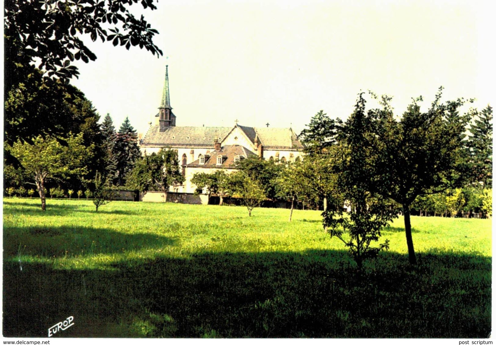 Saint Jean De Bassel La Chapelle Et Le Parc - Autres & Non Classés