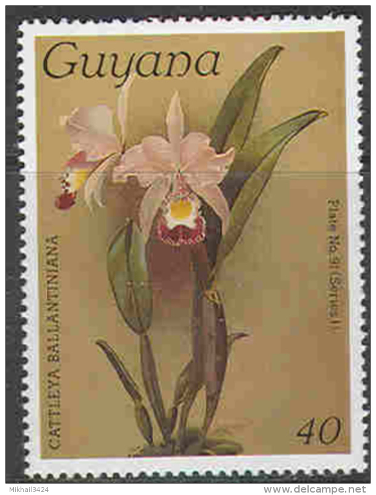 0632 Flora Orchids 11st Issue 1986 Guyana 1v Set MNH ** 3ME - Orchids