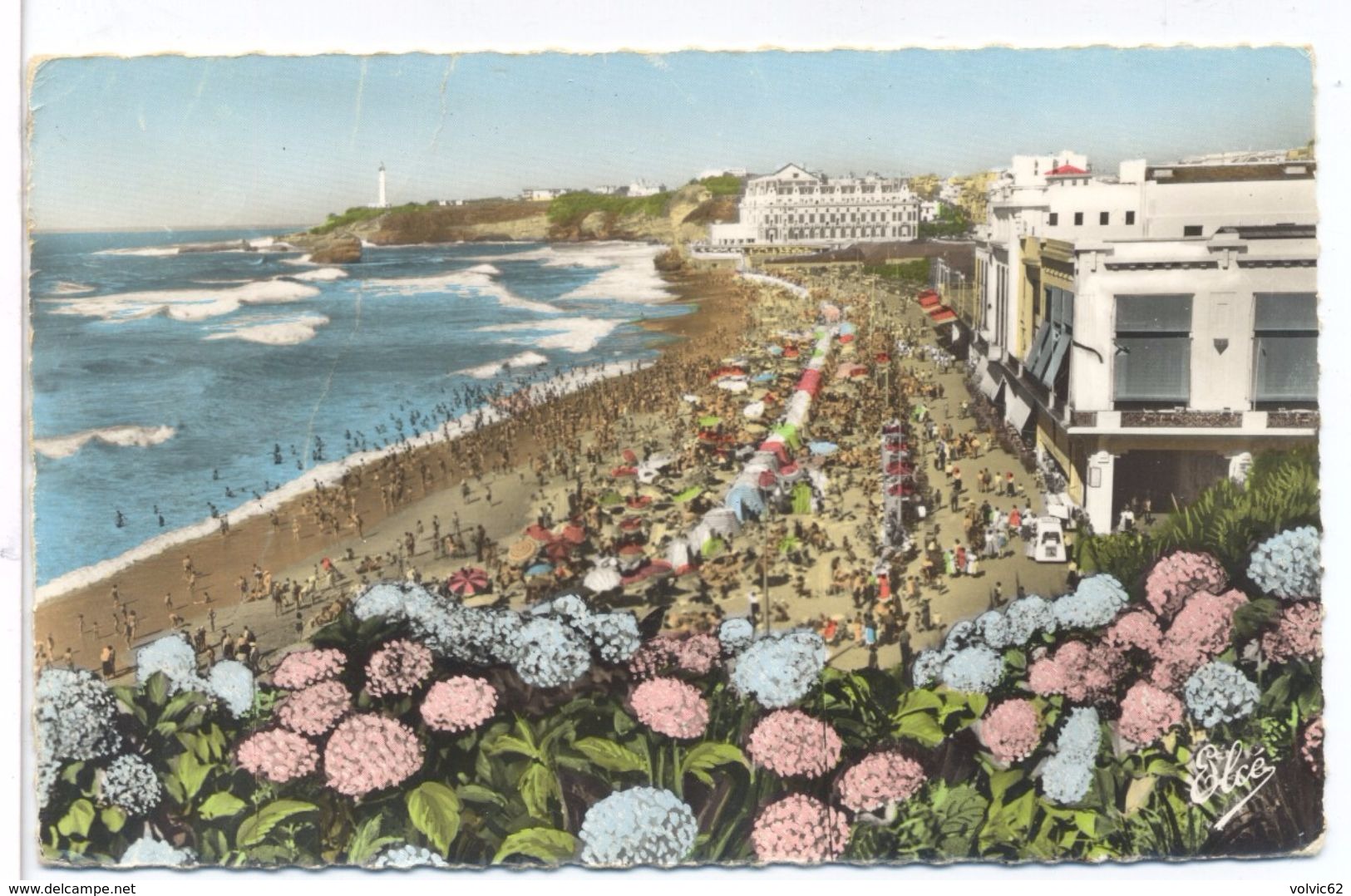 CPSM Biarritz  Les Hortensias Vue D'ensemble De La Grande Plage - Biarritz