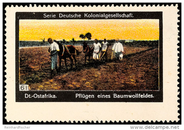 Vignette "Pfl&uuml;gen Eines Baumwollfeldes" Aus Der Serie Deutsche Kolonialgesellschaft  OGVignette "plough Of... - Afrique Orientale