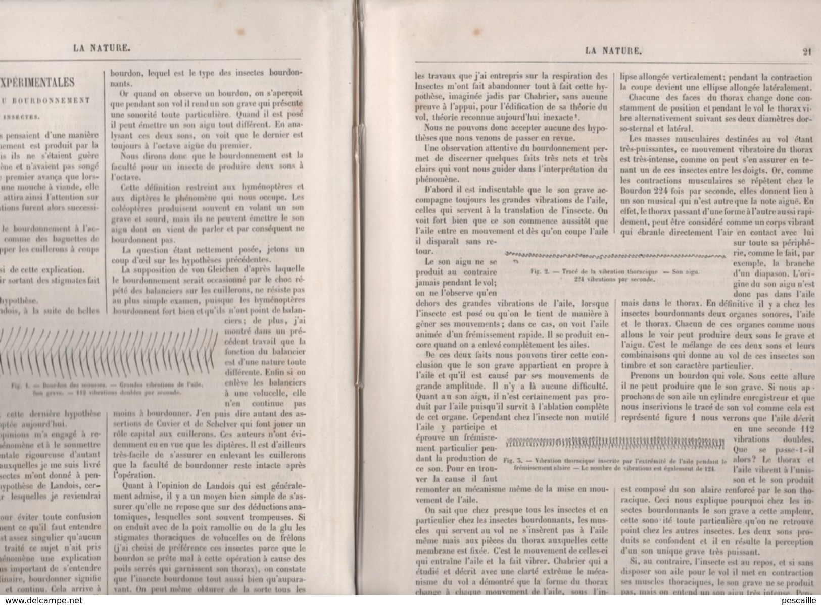 LA NATURE 14 12 1878 - MICROPHONE SISMOLOGIE - BOURDONNEMENT INSECTES - CHEVAL - ECLAIRAGE ELECTRIQUE PARIS - JAVA - 1850 - 1899