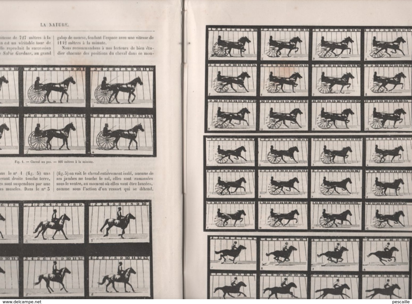 LA NATURE 14 12 1878 - MICROPHONE SISMOLOGIE - BOURDONNEMENT INSECTES - CHEVAL - ECLAIRAGE ELECTRIQUE PARIS - JAVA - 1850 - 1899