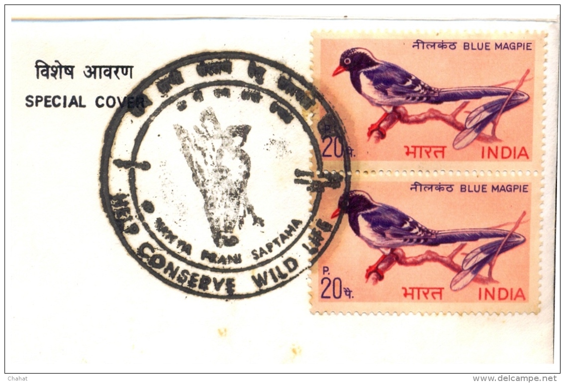 BIRDS-BLUE MAGPIE-INDIAN BIRDS SERIES-ERROR-CORNER STRIP OF 4-INDIA-1968-WITH A SPECIAL COVER-BX1-369 - Cuco, Cuclillos