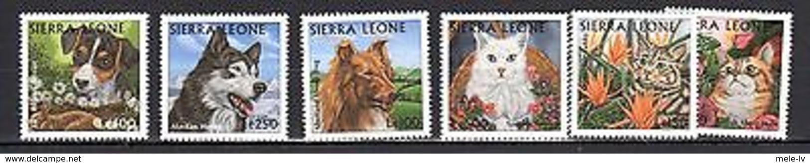 Sierra Leone Dogs Cats MNH -(e-13) - Other & Unclassified