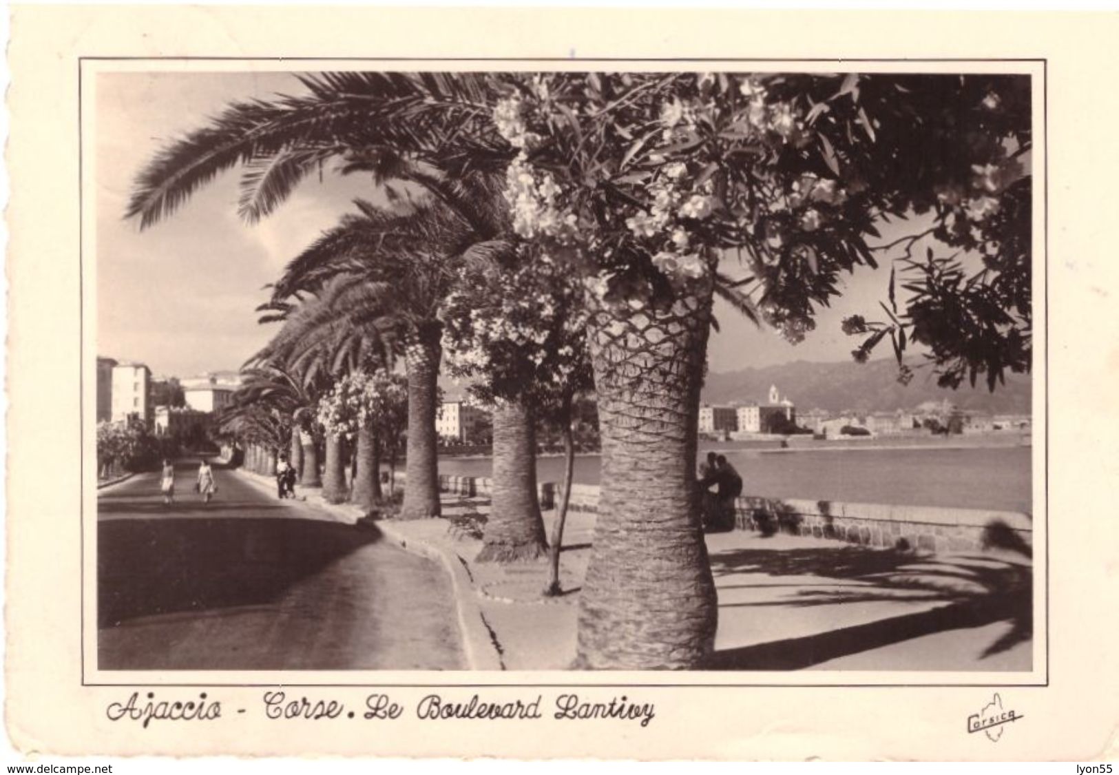 Ajaccio Le Boulevard Lantivy - Ajaccio