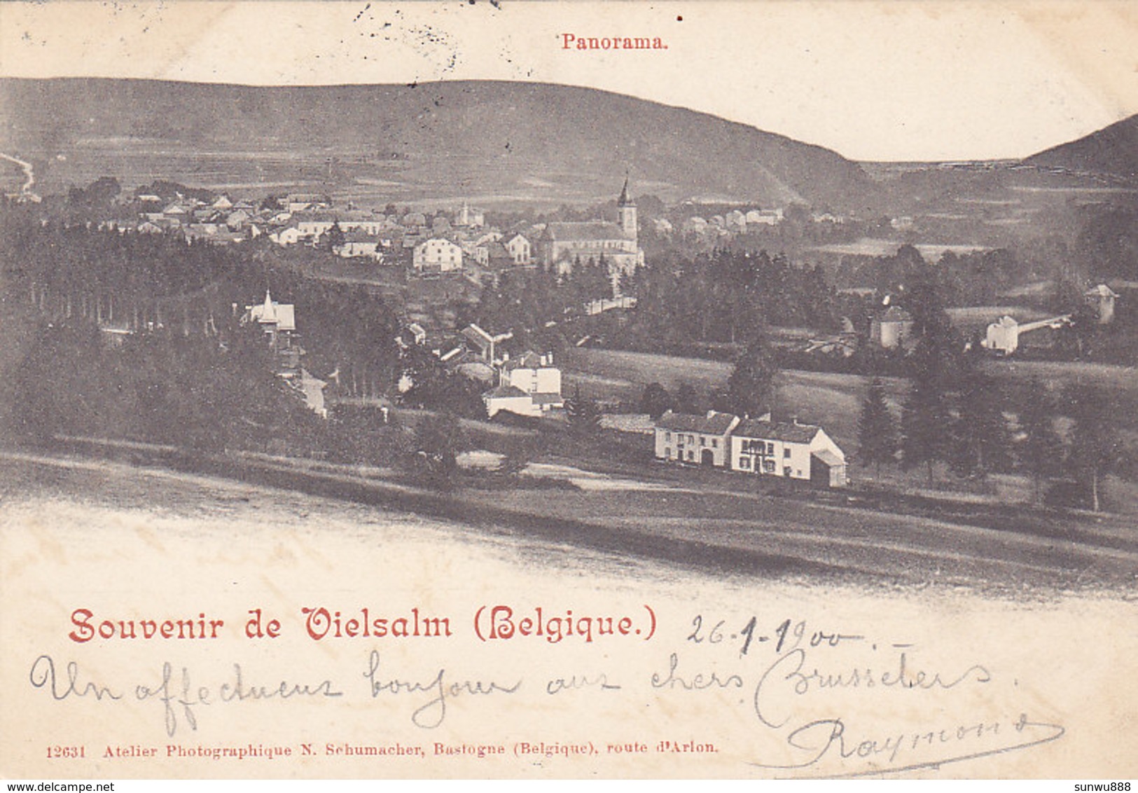 Souvenir De Vielsam - Panorama (atelier Photographique N. Schumacher, 1900) - Vielsalm