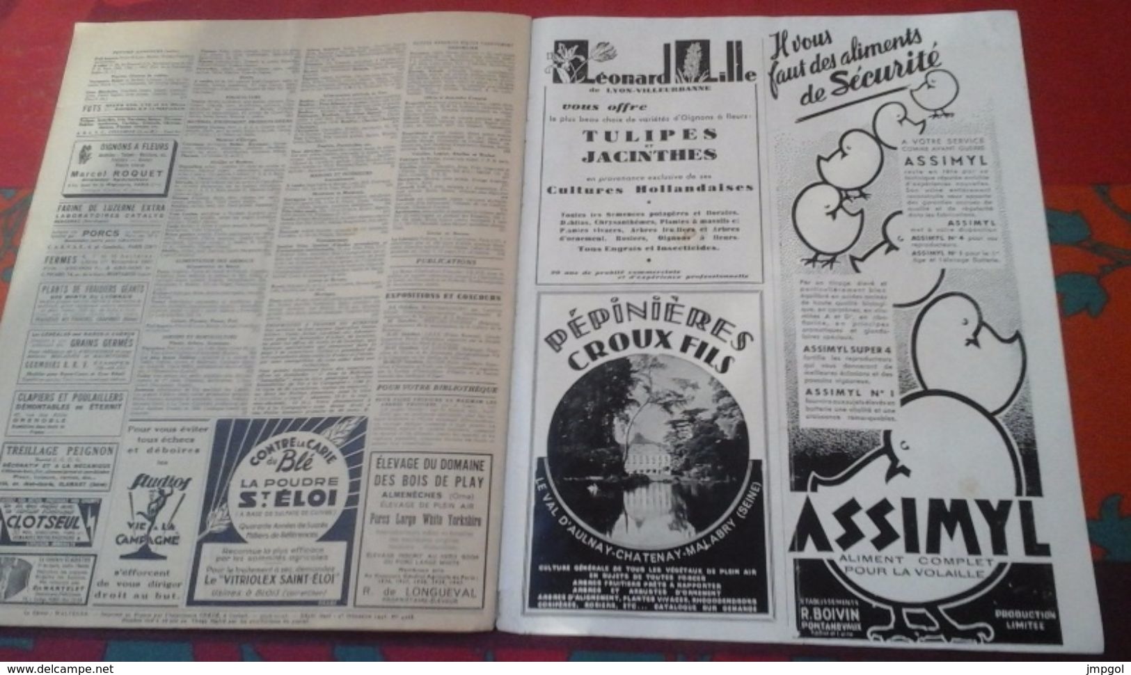 Vie à La Campagne N° 444 Octobre 1947, Jacinthes, Sélection Des Pondeuses, Chasse à La Perdrix Au Chien D'Arrêt - 1900 - 1949