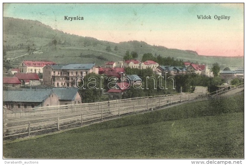 T2/T3 Krynica, Widok Og&oacute;lny. Nakladem J&oacute;zefa Rednera / General View, Railway Tracks (EK) - Ohne Zuordnung