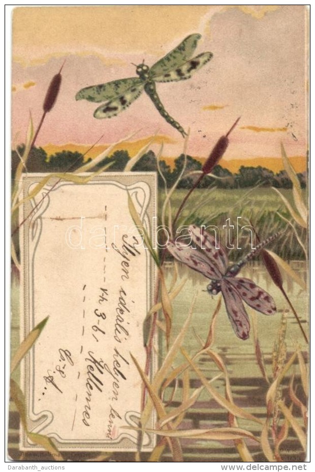 T2/T3 Dragonflies, Art Nouveau Litho - Ohne Zuordnung